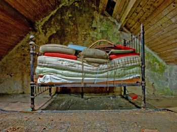 James Hughes winner image, Glenda's Bed